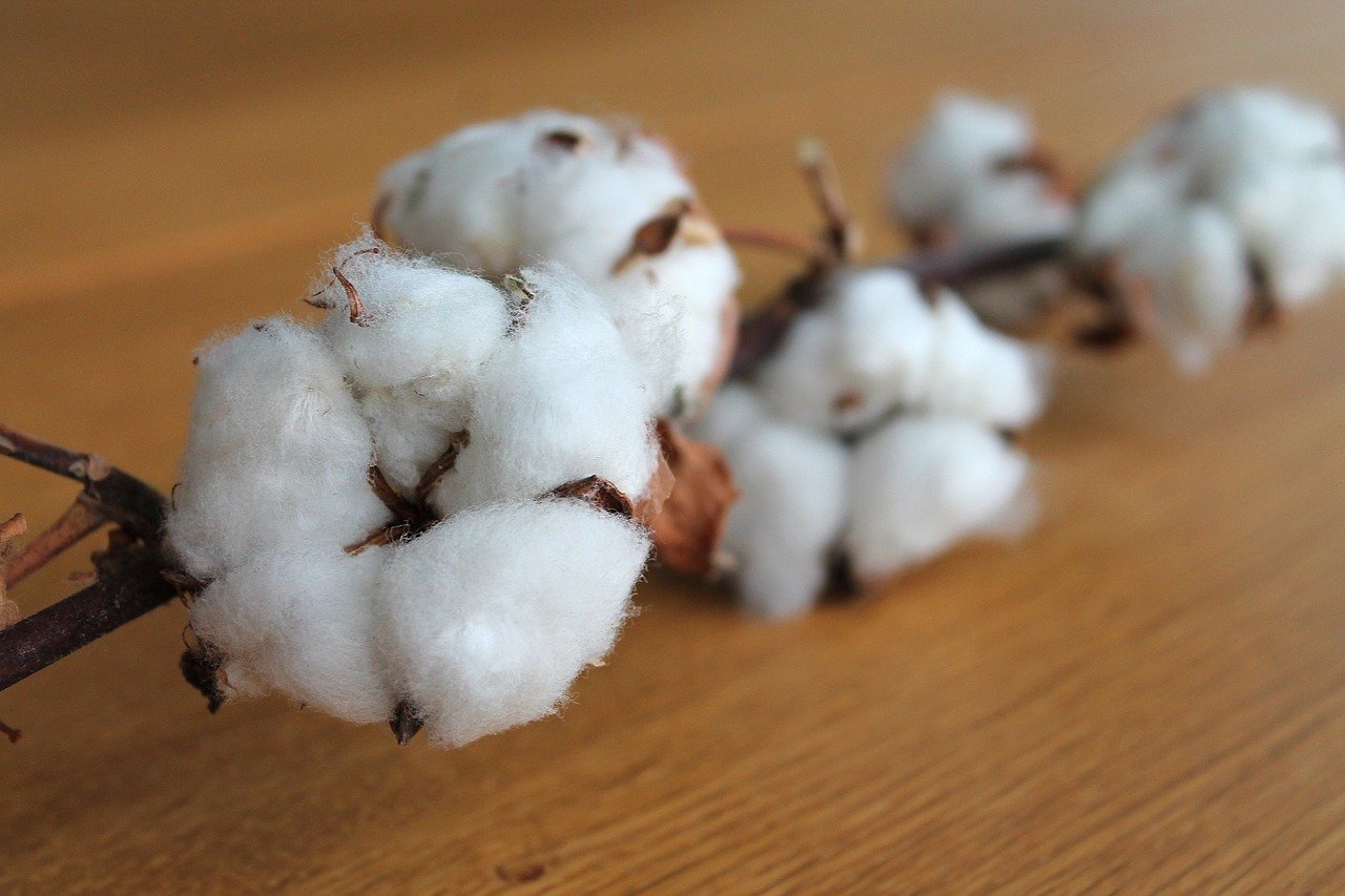 Tissu coton bio certifie GOTS - Krafoù Nanou